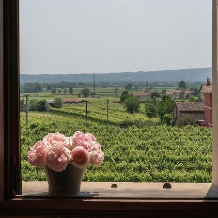 Fiori&Vigne Di Cecilia Marcon Villa Farra di Soligo Luaran gambar