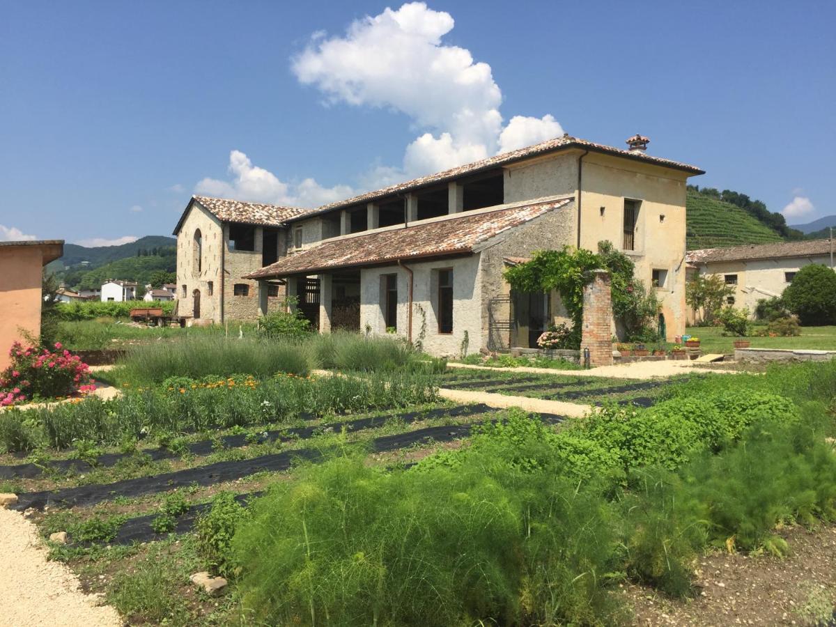 Fiori&Vigne Di Cecilia Marcon Villa Farra di Soligo Luaran gambar