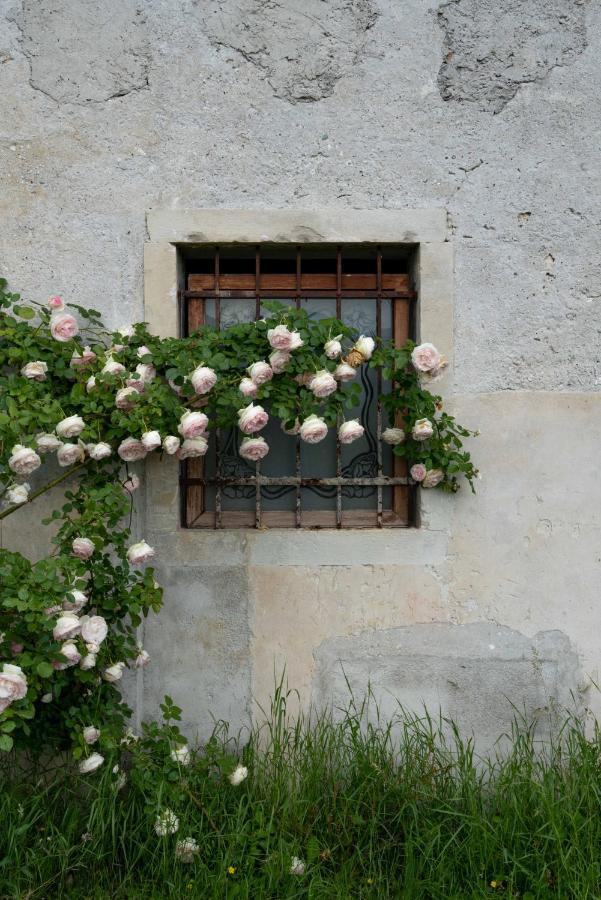 Fiori&Vigne Di Cecilia Marcon Villa Farra di Soligo Luaran gambar